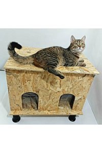Kumsshop İkili Dikdörtgen Su Geçirmez Dış Mekan Kedi Evi Ahşap Rengi