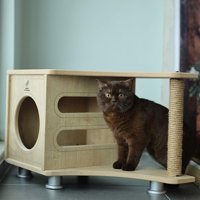 Woofy Catsy 10A Dikdörtgen İç Mekan Kedi Evi Ahşap Rengi