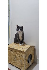 Zeki Möble Kare Su Geçirmez Dış Mekan Kedi Evi Ahşap Rengi