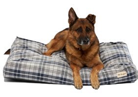 Pet Comfort Lima Yıkanabilir Büyük Irk İç Mekan Köpek Yatağı Mavi