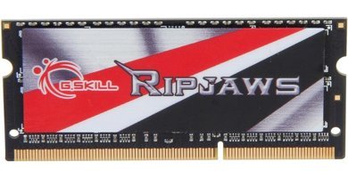 G.Skill Ripjaws F3-1600C9S-8GRSL 8 GB DDR3 1x8 1600 MHz Ram