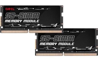 Geil Pristine GS416GB2666C19SC 16 GB DDR4 1x16 2666 MHz Ram