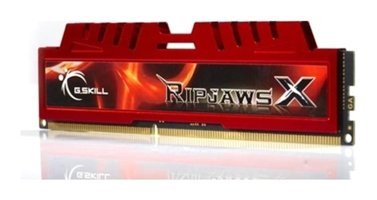 G.Skill Ripjaws X F3-10666CL9S-8GBXL 8 GB DDR3 1x8 1333 MHz Ram