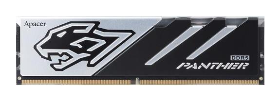 Panther AH5U16G60C5127BAA-1 16 GB DDR5 1x16 6000 MHz Ram