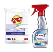 DOMOL Çelik ve Gümüş Yüzey Temizleyici 250 ml