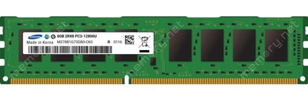 Samsung M378B1G73DB0-CK0 8 GB DDR3 1x8 1600 MHz Ram Yeşil