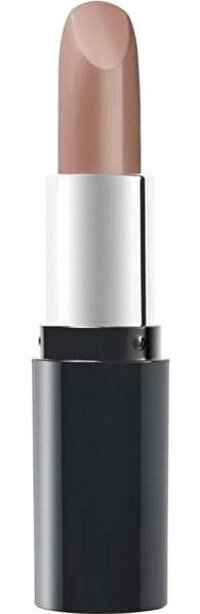 Pastel Nude 531 Chai Mat Krem Lipstick Ruj