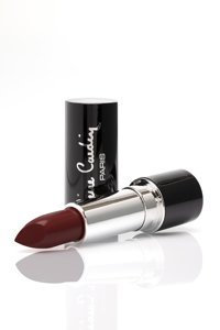 Pierre Cardin Porcelain 209 Rustic Red Mat Krem Lipstick Ruj