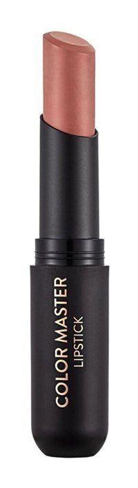 Flormar Color Master 1 Nude Kalıcı Mat Krem Lipstick Ruj