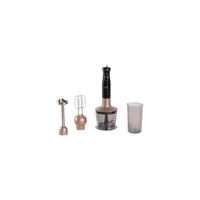 Sunny Melodi 500 ml Plastik Hazneli 4'lü Blender Seti Gold
