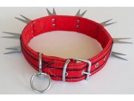Le-Sar Ls-804 4x70 cm Boyun Köpek Tasmaları Kırmızı