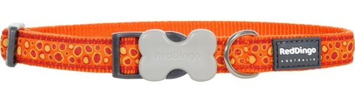 Red Dingo Bedrock 15 mm Airtag Boyun Köpek Tasmaları Turuncu