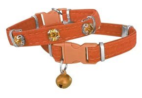 Markapet Taşlı 20-32 cm Zilli Turuncu Gezdirme Boyun Kedi Tasması