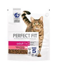 Perfect Fit Sığır Etli Tahıllı Yetişkin Kuru Kedi Maması 2x2 kg