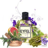 Eyfel M81 Afrodizyak Etkili EDP Aromatik Erkek Parfüm 50 ml