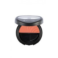 Flormar No:094 Honey With Gold Işıltılı Toz Allık Paleti
