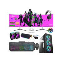 Xaser XSR758 Harici GeForce GT 740 Intel Core i7 2600 16 GB Ram 256 GB SSD Tower FreeDos 24 inç Monitörlü Masaüstü Oyuncu Bilgisayarı