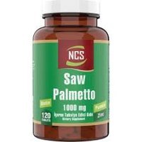 Ncs Saw Palmetto Bal Kabağı Cüce Palmiye Yetişkin 120 Adet