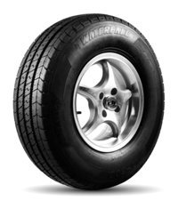 Waterfall 185/65 R15 88H Eco Dynamic 4 Mevsim Lastik 2024