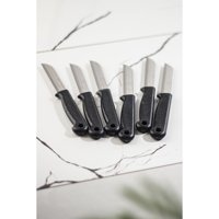 Asva Shop Solingen 6 Lı Meyve Bıçağı Seti (Çok Keskin Tırtıklı Ağız Yapısı )