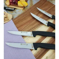 Castle Kitchen Incisive Mutfak Bıçak Seti 4'lü Et Ekmek Sebze Meyve Bıçağı