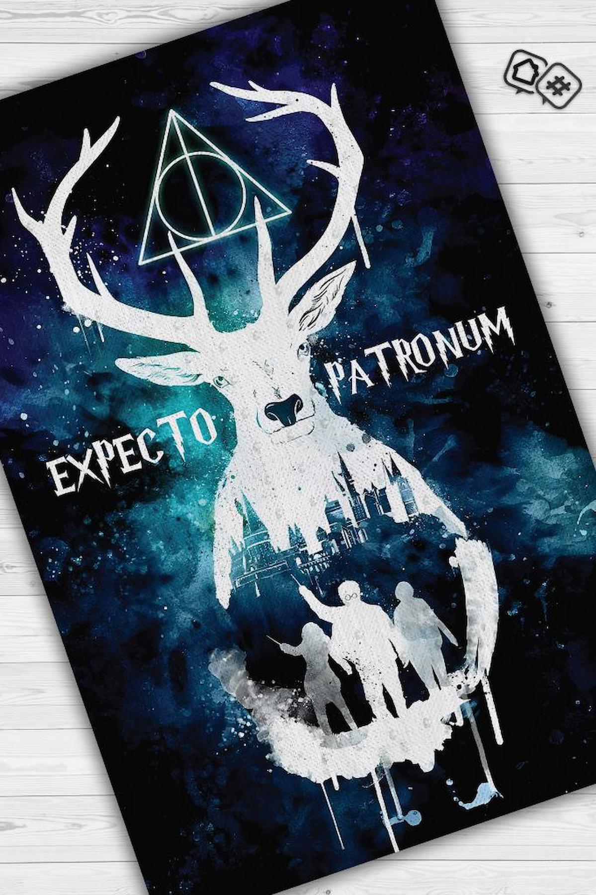 Homshtag Harry Potter Krem 4 mm Pamuk Antistatik Yıkanabilir İnce Kaymaz Dikdörtgen Makine Dokuma Genç Odası Halısı 200x290 cm
