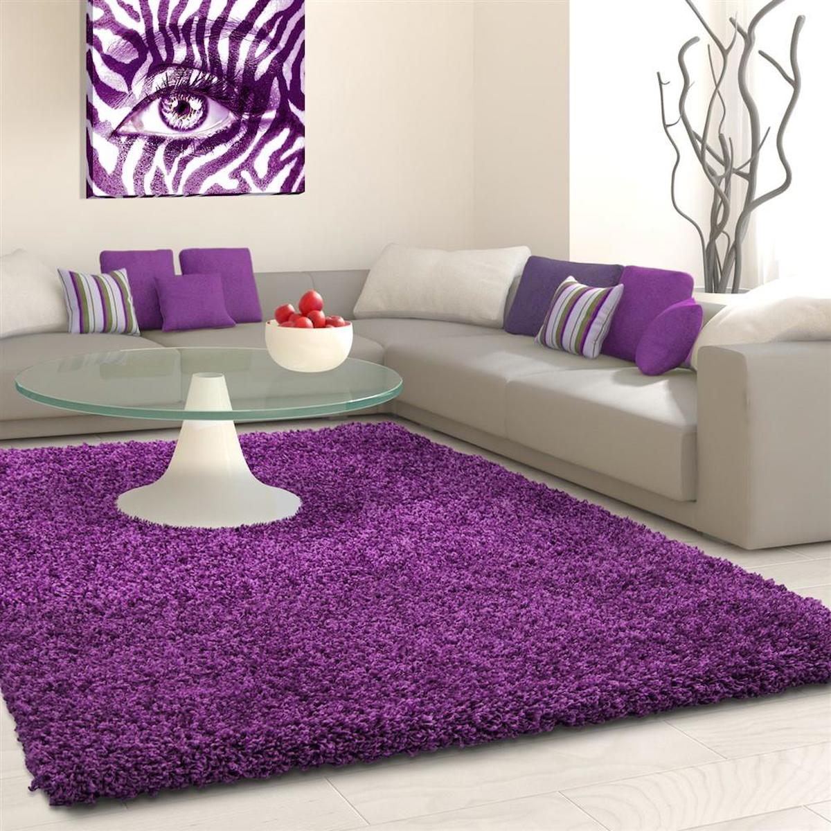 Red Halı Lila 30 mm Polipropilen Toz Tutmaz Yıkanabilir Kalın Kaymaz Dikdörtgen Makine Dokuma Salon Halısı 120x180 cm