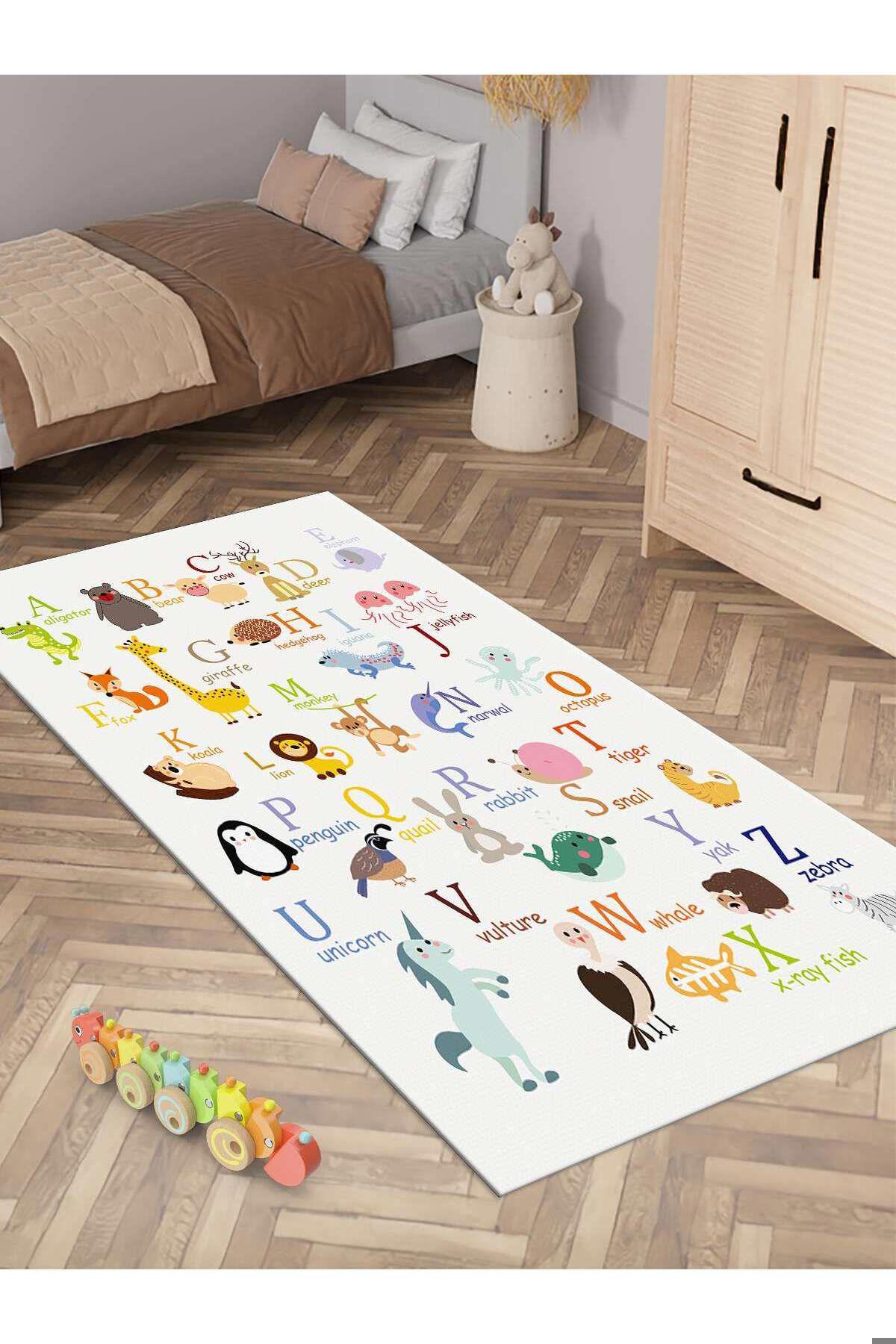 İnspira Çok Renkli 12 mm Polyester Silinebilir Yıkanabilir Orta Kaymaz Dot Taban Dikdörtgen Makine Dokuma Salon Halısı 200x290 cm