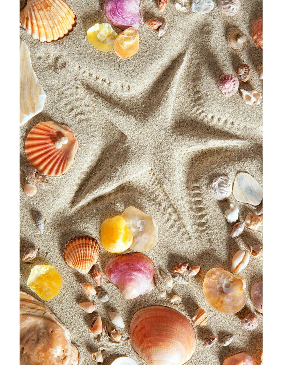 Homefesto Krem 5 mm Polyester Leke Tutmaz Yıkanabilir İnce Kaymaz Taban Doğa Temalı Dikdörtgen Makine Dokuma Salon Halısı 80x300 cm