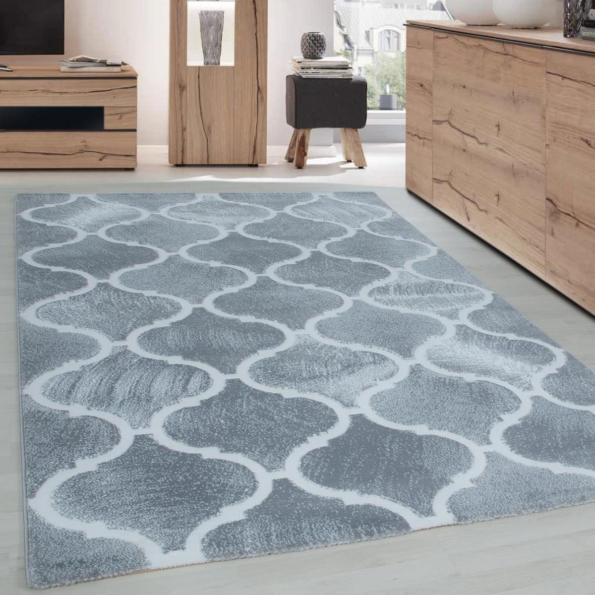 Red Halı Gri 12 mm Polipropilen Antialerjenik Yıkanabilir Kalın Kaymaz Dikdörtgen Makine Dokuma Salon Halısı 100x150 cm