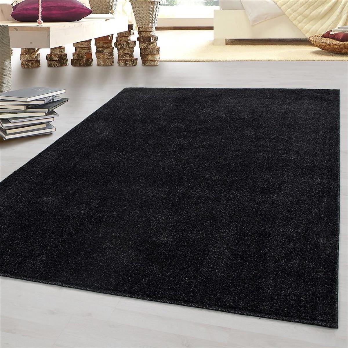 Red Halı Siyah 8 mm Polipropilen Antibakteriyel Yıkanabilir Kalın Kaymaz Jüt Taban Dikdörtgen Makine Dokuma Salon Halısı 100x200 cm
