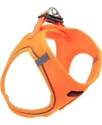 Tailpetz Air Mesh 3XS Ayarlanabilir Göğüs Köpek Tasması Turuncu