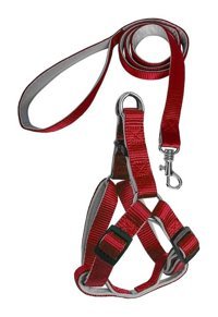 Markapet 73-110 cm Ayarlanabilir Göğüs H Tipi Köpek Tasması Kırmızı