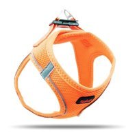 Tailpetz Air Mesh 2XS Ayarlanabilir Göğüs Köpek Tasması Turuncu