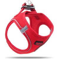 Tailpetz 2XS Ayarlanabilir Göğüs Köpek Tasması Kırmızı