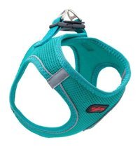 Tailpetz Air Mesh XL Ayarlanabilir Göğüs H Tipi Köpek Tasması Turkuaz