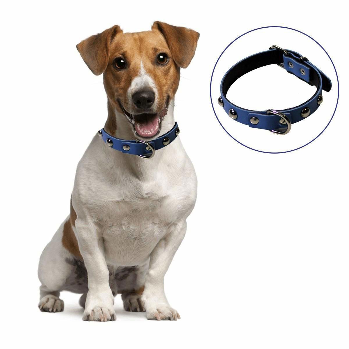 Buffer L Ayarlanabilir Boyun Köpek Tasması Çok Renkli