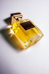 X You Perfume Extrade Imagınatıon Meyveli-Odunsu Erkek Parfüm 100 ml