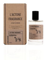 L'actone Caracal Çiçeksi-Çikolata Erkek Parfüm 100 ml