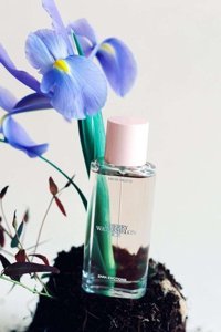 Zara Cherry Watermelon Ice EDT Meyvemsi-Sandal Erkek Parfüm 40 ml