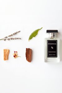 Essencia Okeanos Ferah-Odunsu Erkek Parfüm 50 ml