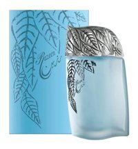 Syed Razeen EDT Çiçeksi-Odunsu Erkek Parfüm 100 ml