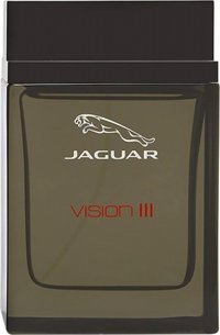 Jaguar Vision III EDT Meyveli-Odunsu Erkek Parfüm 100 ml