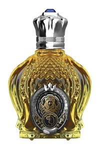 Nych Paris Classic No 77 Shaik EDP Oryantal Erkek Parfüm 100 ml