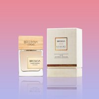 Brescia VIP08M Çiçeksi-Mandalina Erkek Parfüm 100 ml