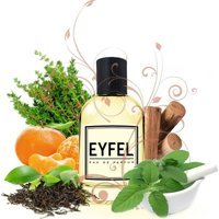 Eyfel M10 Odunsu-Oryantal Erkek Parfüm 50 ml