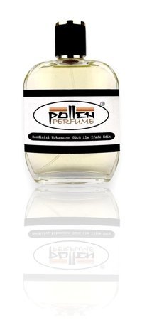 Pollen Perfume Pe08-1 EDP Baharatlı-Meyveli Erkek Parfüm 100 ml
