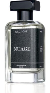Illusione Frangance Nuage EDP Baharatlı-Odunsu Erkek Parfüm 100 ml