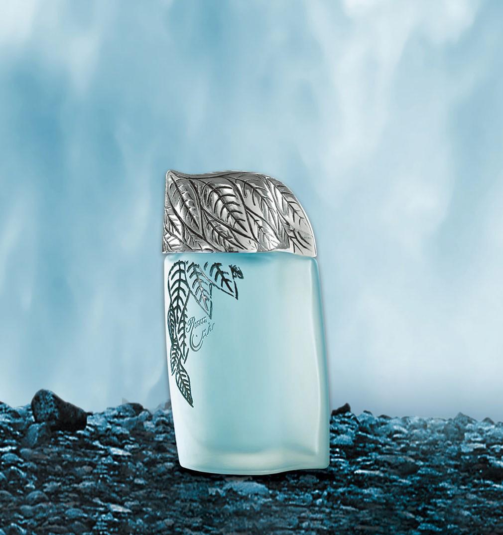 Syed Razeen EDP Çiçeksi-Odunsu Erkek Parfüm 100 ml