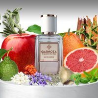 Qarnoza Farewill EDP Meyveli-Odunsu Erkek Parfüm 50 ml